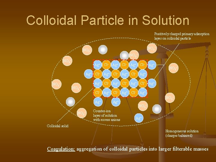 Colloidal Particle in Solution Positively charged primary adsorption layer on colloidal particle NO 3−