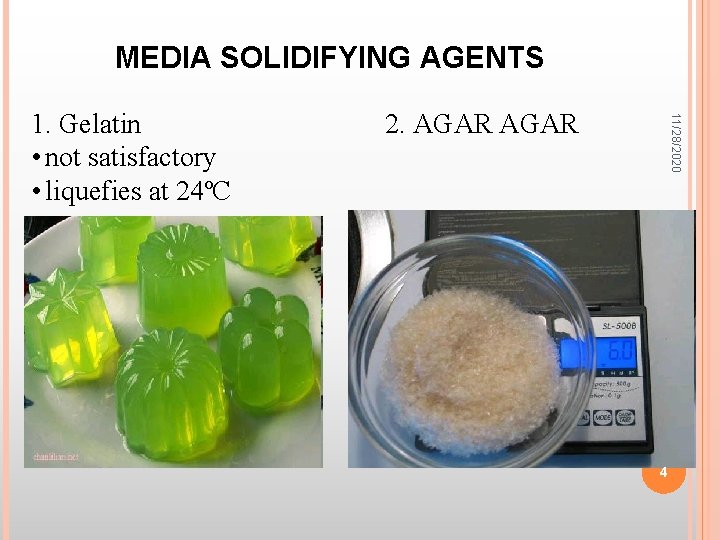 MEDIA SOLIDIFYING AGENTS 2. AGAR 11/28/2020 1. Gelatin • not satisfactory • liquefies at