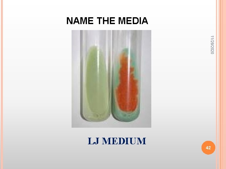 NAME THE MEDIA 11/28/2020 LJ MEDIUM 42 