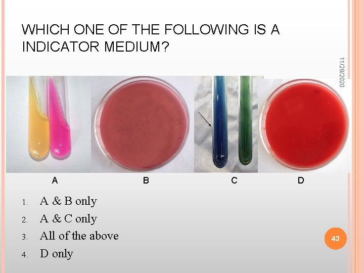 WHICH ONE OF THE FOLLOWING IS A INDICATOR MEDIUM? 11/28/2020 A 1. 2. 3.