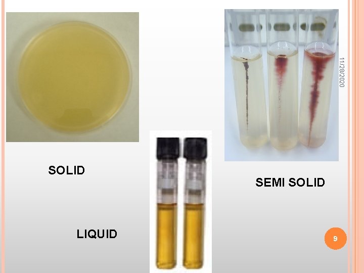 11/28/2020 SOLID LIQUID SEMI SOLID 9 