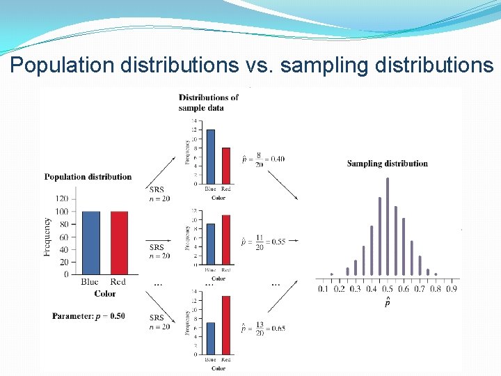 Population distributions vs. sampling distributions 