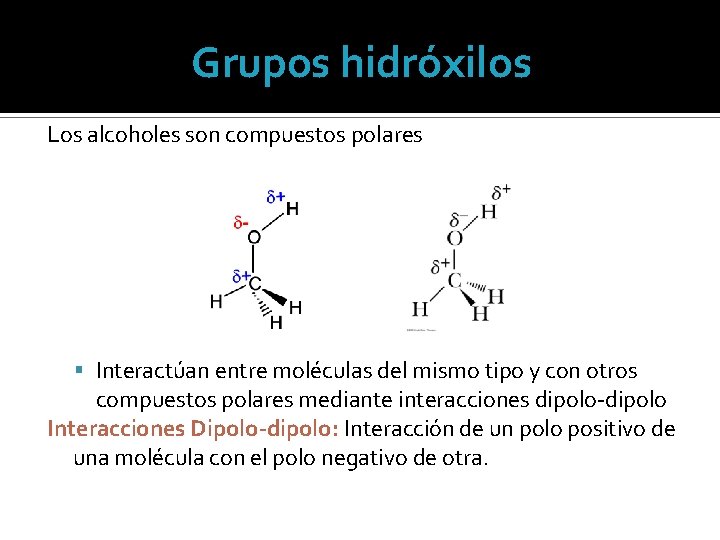 Grupos hidróxilos Los alcoholes son compuestos polares Interactúan entre moléculas del mismo tipo y