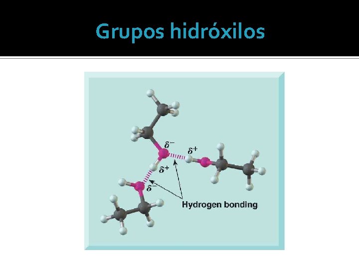 Grupos hidróxilos 