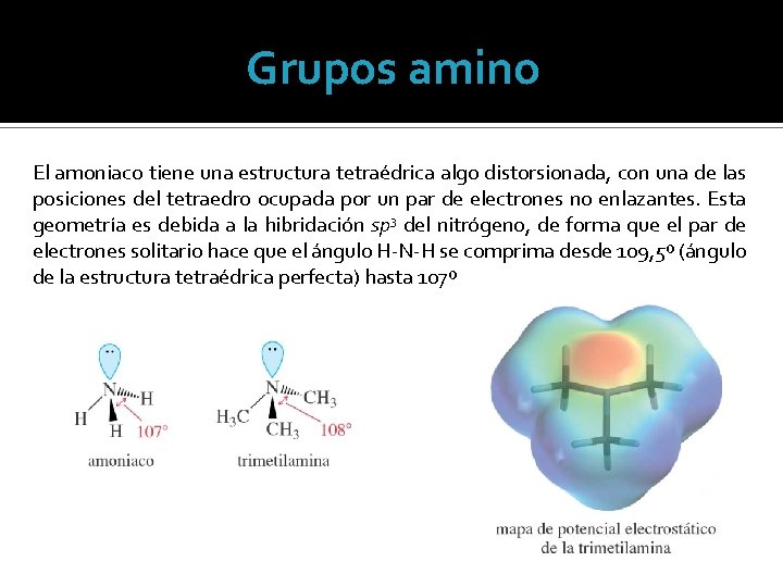 Grupos amino El amoniaco tiene una estructura tetraédrica algo distorsionada, con una de las