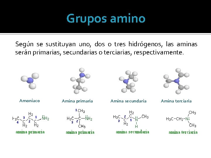 Grupos amino Según se sustituyan uno, dos o tres hidrógenos, las aminas serán primarias,