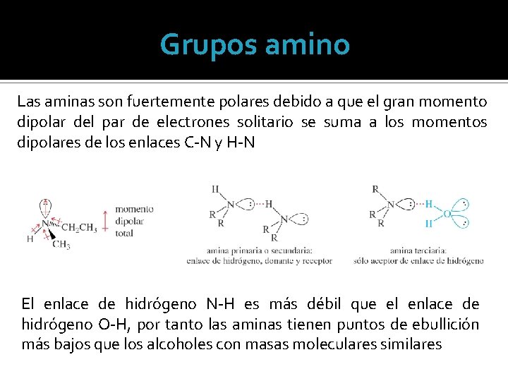 Grupos amino Las aminas son fuertemente polares debido a que el gran momento dipolar
