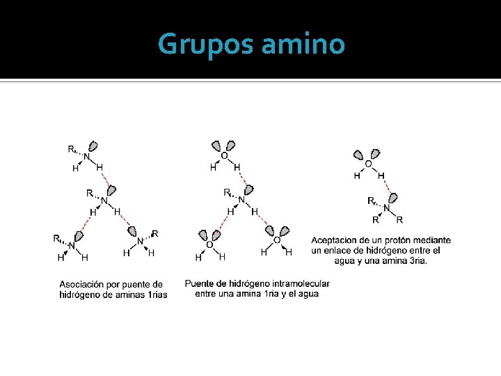 Grupos amino 