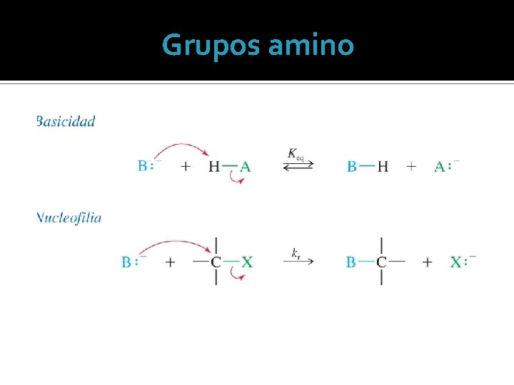 Grupos amino 