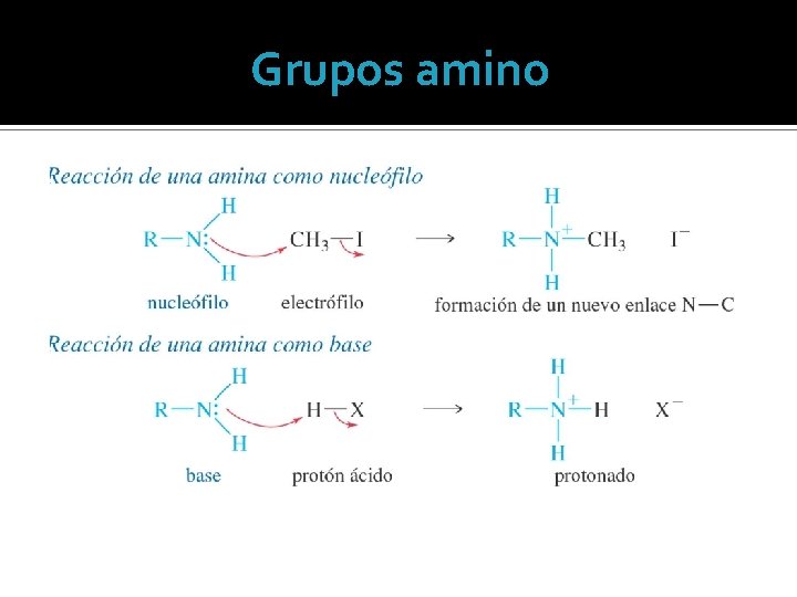Grupos amino 