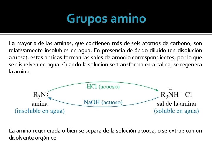 Grupos amino La mayoría de las aminas, que contienen más de seis átomos de