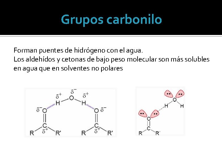 Grupos carbonilo Forman puentes de hidrógeno con el agua. Los aldehídos y cetonas de