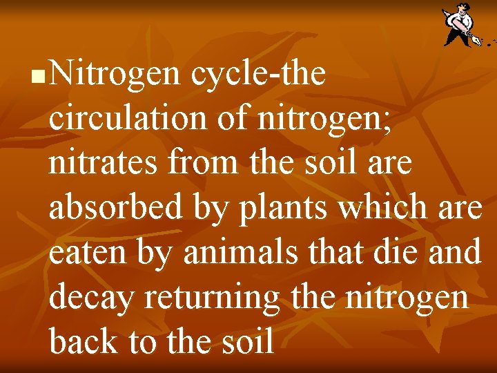 n Nitrogen cycle-the circulation of nitrogen; nitrates from the soil are absorbed by plants