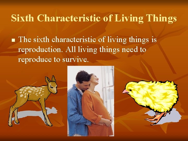 Sixth Characteristic of Living Things n The sixth characteristic of living things is reproduction.