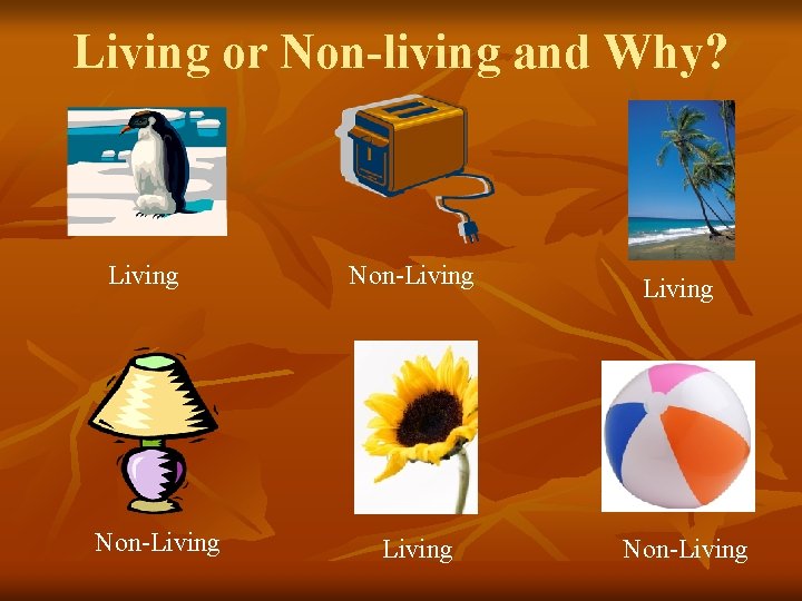 Living or Non-living and Why? Living Non-Living 