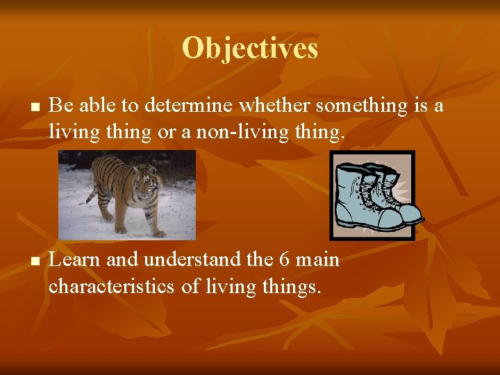 Objectives n n Be able to determine whether something is a living thing or