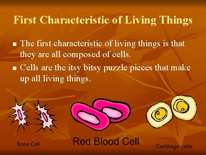 First Characteristic of Living Things n n The first characteristic of living things is