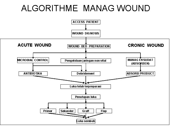 ALGORITHME MANAG WOUND ACCESS PATIENT WOUND DIGNOSIS ACUTE WOUND BED PREPARATION CRONIC WOUND MICROBIAL