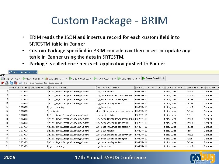 Custom Package - BRIM • BRIM reads the JSON and inserts a record for