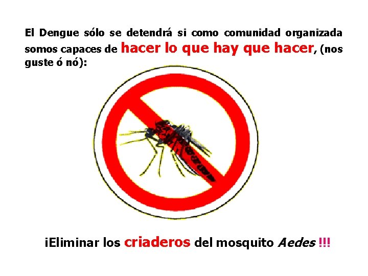 El Dengue sólo se detendrá si como comunidad organizada somos capaces de hacer guste