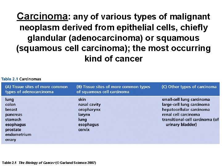 Carcinoma: any of various types of malignant neoplasm derived from epithelial cells, chiefly glandular