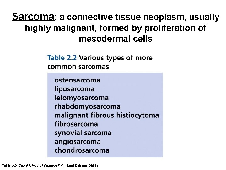 Sarcoma: a connective tissue neoplasm, usually highly malignant, formed by proliferation of mesodermal cells