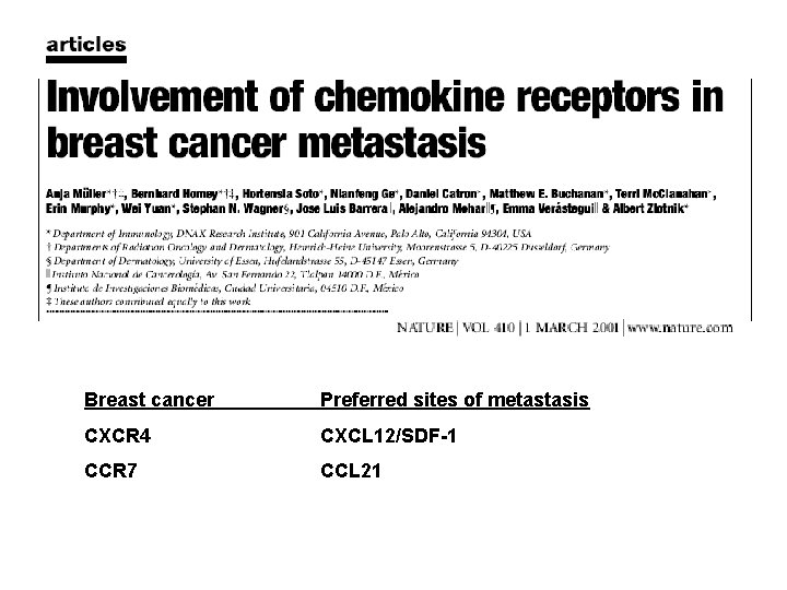 Breast cancer Preferred sites of metastasis CXCR 4 CXCL 12/SDF-1 CCR 7 CCL 21