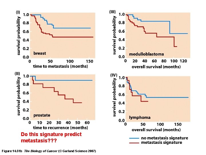 Do this signature predict metastasis? ? ? Figure 14. 51 b The Biology of