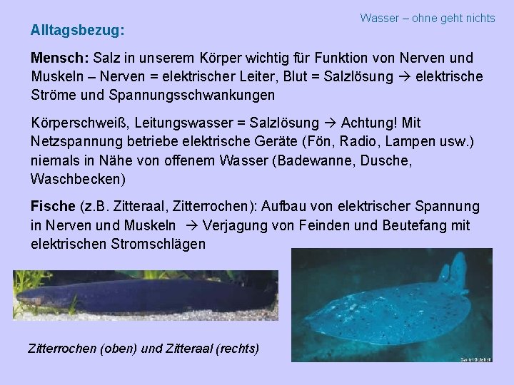 Alltagsbezug: Wasser – ohne geht nichts Mensch: Salz in unserem Körper wichtig für Funktion