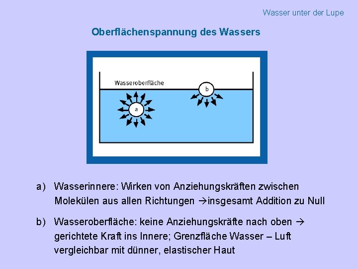 Wasser unter der Lupe Oberflächenspannung des Wassers a) Wasserinnere: Wirken von Anziehungskräften zwischen Molekülen