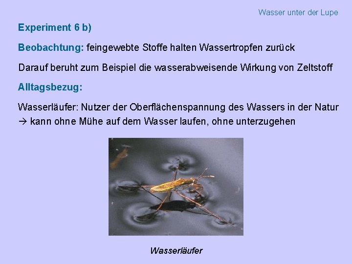 Wasser unter der Lupe Experiment 6 b) Beobachtung: feingewebte Stoffe halten Wassertropfen zurück Darauf
