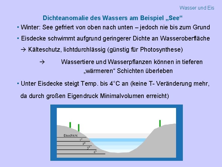 Wasser und Eis Dichteanomalie des Wassers am Beispiel „See“ • Winter: See gefriert von