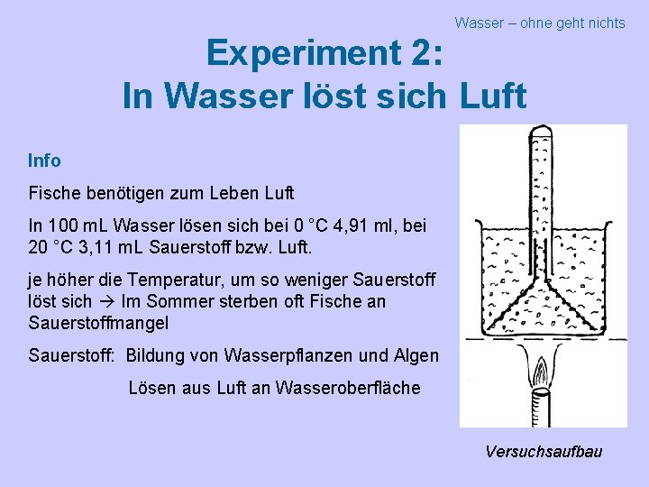Wasser – ohne geht nichts Experiment 2: In Wasser löst sich Luft Info Fische