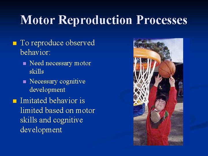 Motor Reproduction Processes n To reproduce observed behavior: n n n Need necessary motor