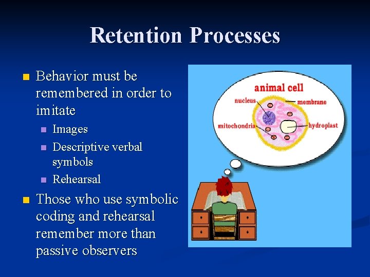 Retention Processes n Behavior must be remembered in order to imitate n n Images