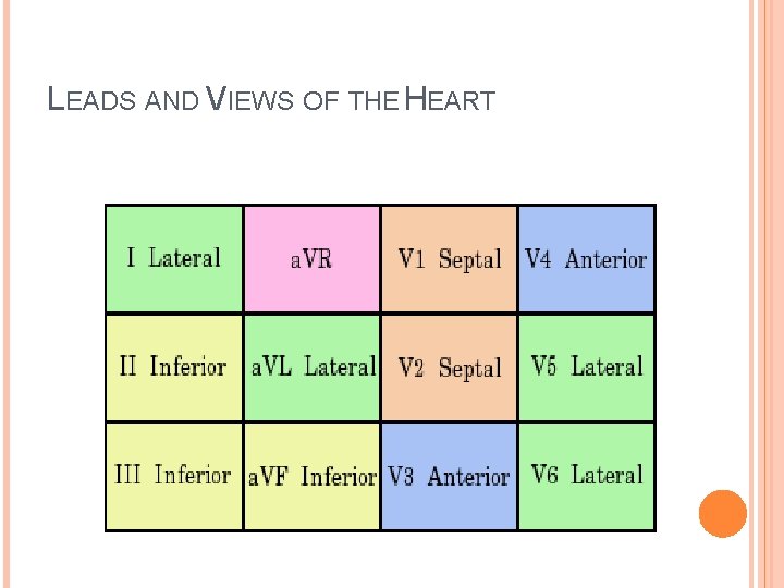 LEADS AND VIEWS OF THE HEART 