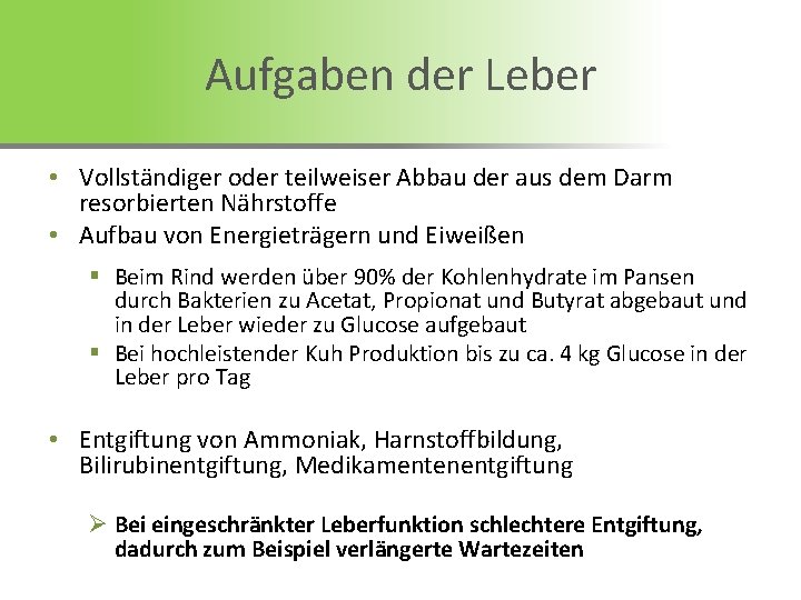 Aufgaben der Leber • Vollständiger oder teilweiser Abbau der aus dem Darm resorbierten Nährstoffe