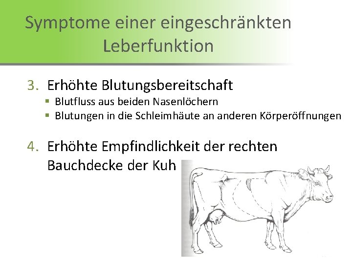 Symptome einer eingeschränkten Leberfunktion 3. Erhöhte Blutungsbereitschaft § Blutfluss aus beiden Nasenlöchern § Blutungen