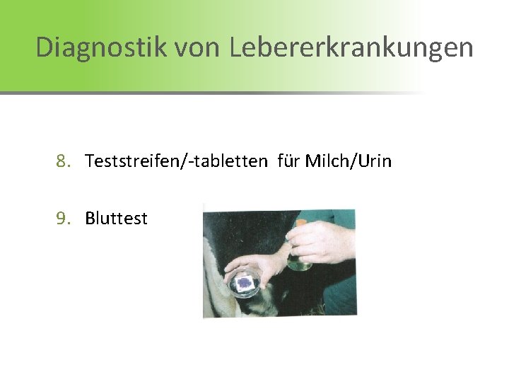 Diagnostik von Lebererkrankungen 8. Teststreifen/-tabletten für Milch/Urin 9. Bluttest 