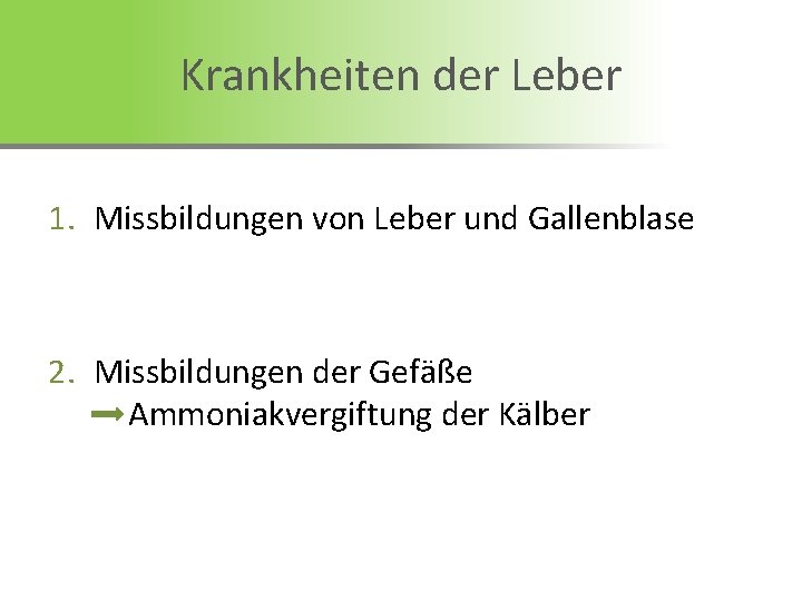 Krankheiten der Leber 1. Missbildungen von Leber und Gallenblase 2. Missbildungen der Gefäße Ammoniakvergiftung