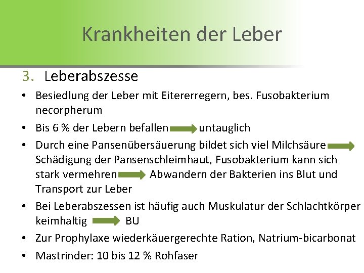 Krankheiten der Leber 3. Leberabszesse • Besiedlung der Leber mit Eitererregern, bes. Fusobakterium necorpherum