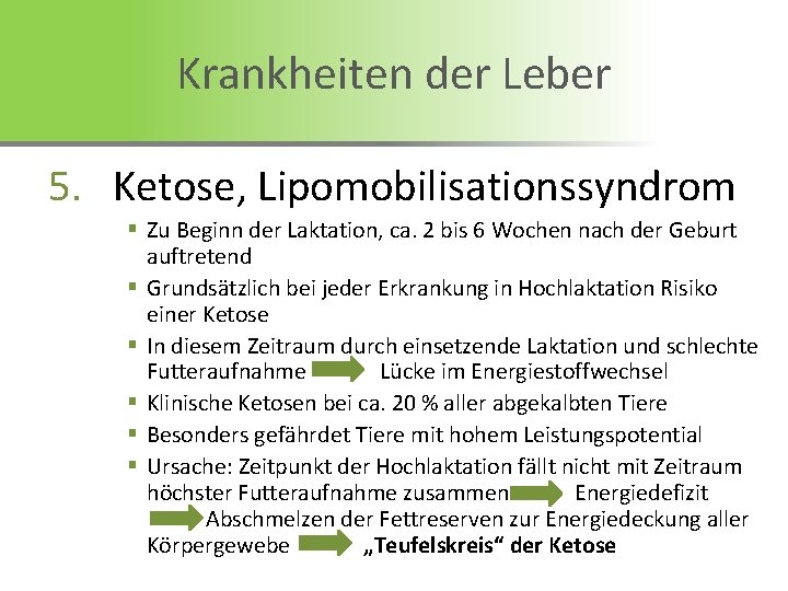 Krankheiten der Leber 5. Ketose, Lipomobilisationssyndrom § Zu Beginn der Laktation, ca. 2 bis