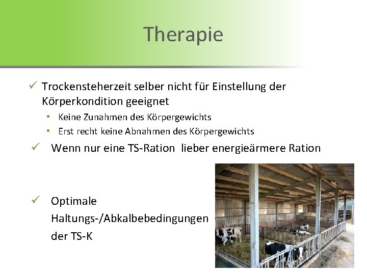 Therapie ü Trockensteherzeit selber nicht für Einstellung der Körperkondition geeignet • Keine Zunahmen des