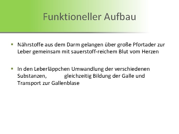 Funktioneller Aufbau § Nährstoffe aus dem Darm gelangen über große Pfortader zur Leber gemeinsam