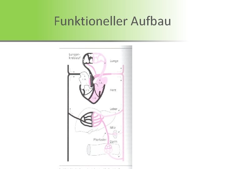 Funktioneller Aufbau 