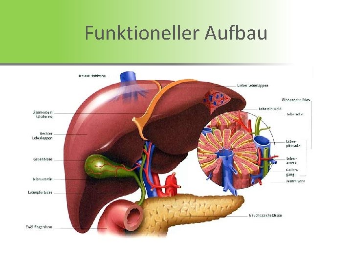 Funktioneller Aufbau 