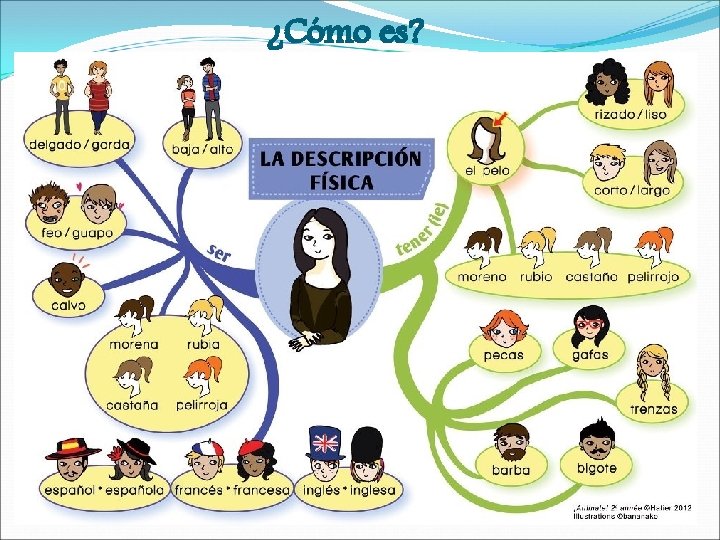 ¿Cómo es? ¿Cómo es?