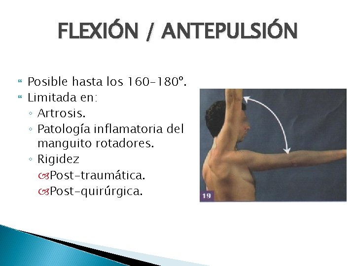 FLEXIÓN / ANTEPULSIÓN Posible hasta los 160 -180º. Limitada en: ◦ Artrosis. ◦ Patología