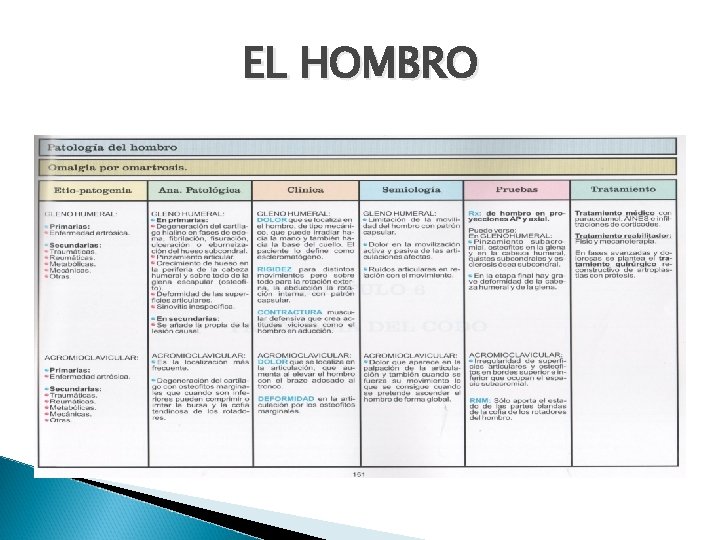 EL HOMBRO 