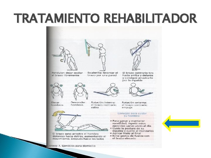 TRATAMIENTO REHABILITADOR 